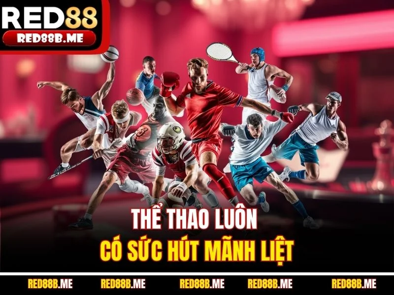 Thể thao luôn có sức hút mãnh liệt